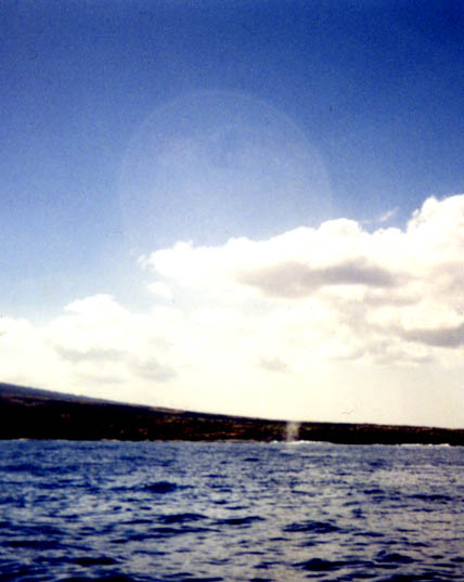 Bubble in sky above whale spout by Cheyenne.